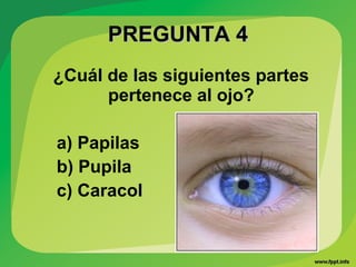 PREGUNTA 4PREGUNTA 4
¿Cuál de las siguientes partes
pertenece al ojo?
a) Papilas
b) Pupila
c) Caracol
 