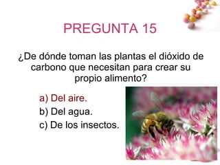 PREGUNTA 15 ¿De dónde toman las plantas el dióxido de carbono que necesitan para crear su propio alimento? a) Del aire. b) Del agua. c) De los insectos. 
