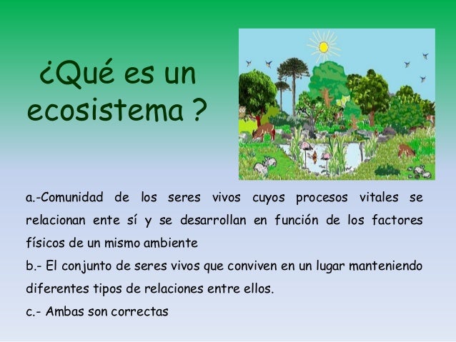 Trivial cono 2