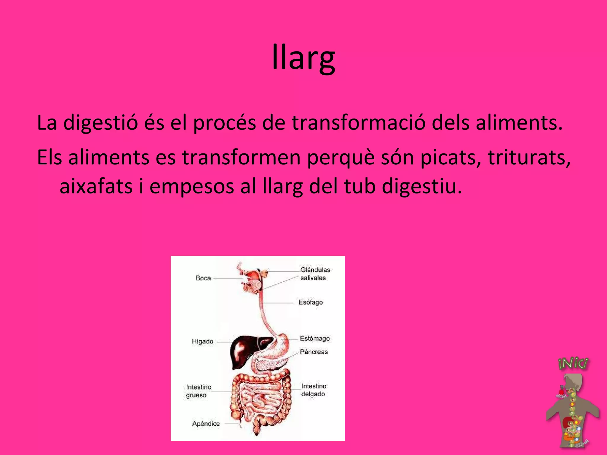llarg La digestió és el procés de transformació dels aliments. Els aliments es transformen perquè són picats, triturats, aixafats i empesos al llarg del tub digestiu. 