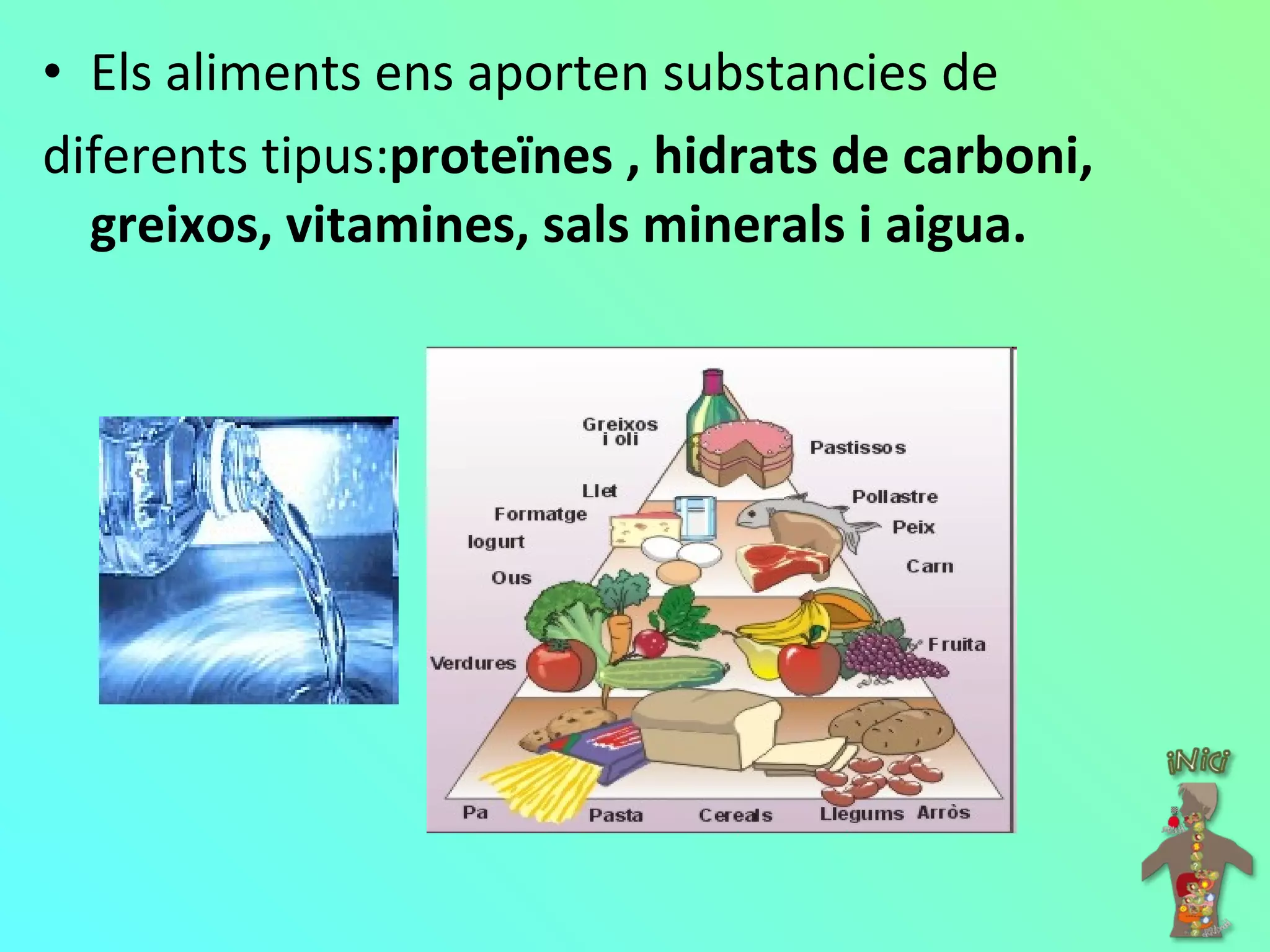 Els aliments ens aporten substancies de  diferents tipus: proteïnes , hidrats de carboni, greixos, vitamines, sals minerals i aigua. 
