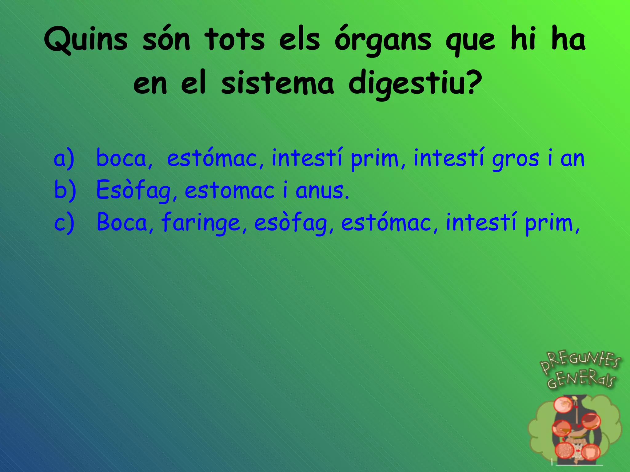 Quins són tots els órgans que hi ha en el sistema digestiu?  boca,  estómac, intestí prim, intestí gros i anus. Esòfag, estomac i anus. Boca, faringe, esòfag, estómac, intestí prim, intestí gros i anus. 