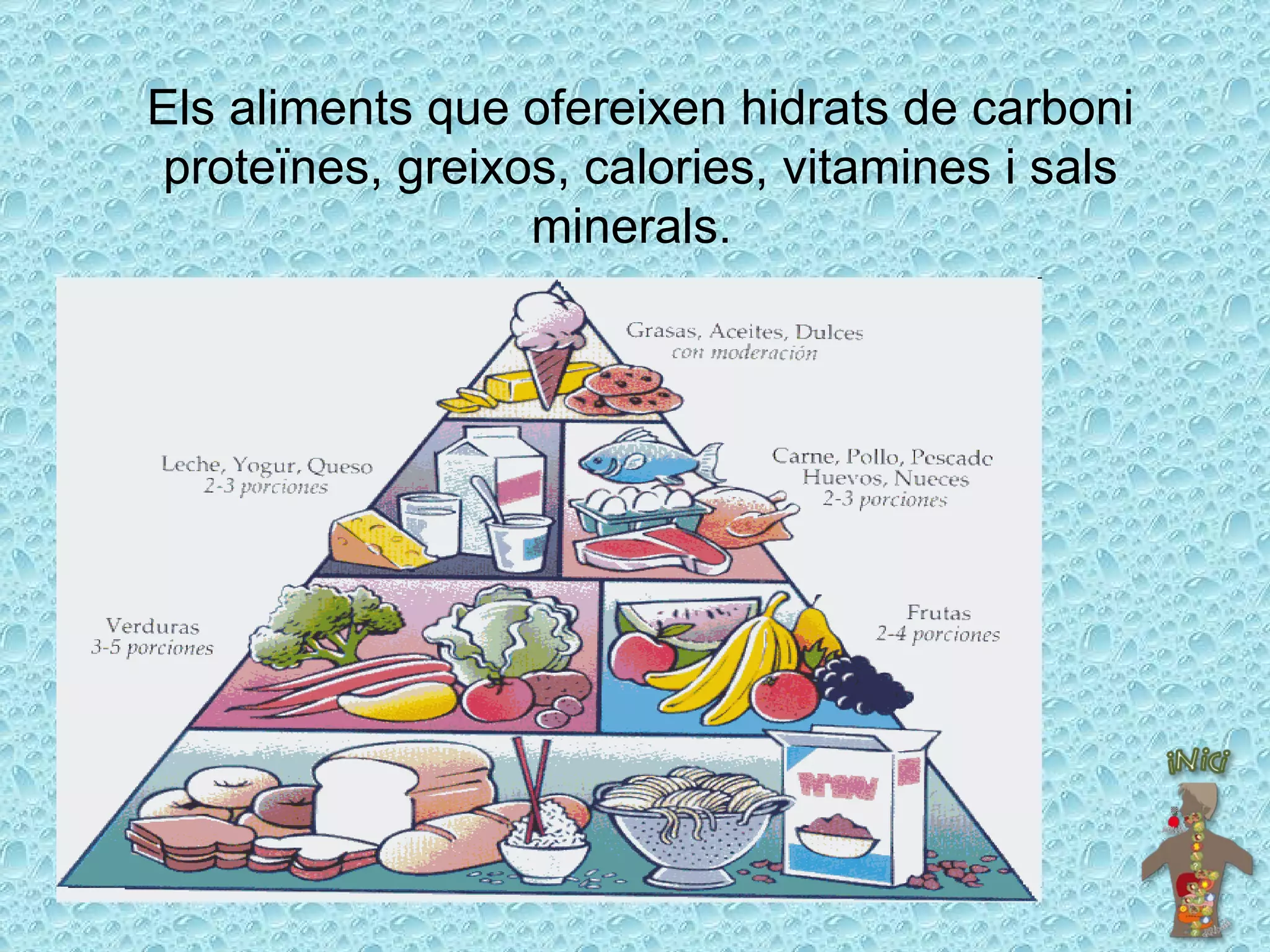 Els aliments que ofereixen hidrats de carboni proteïnes, greixos, calories, vitamines i sals minerals.   