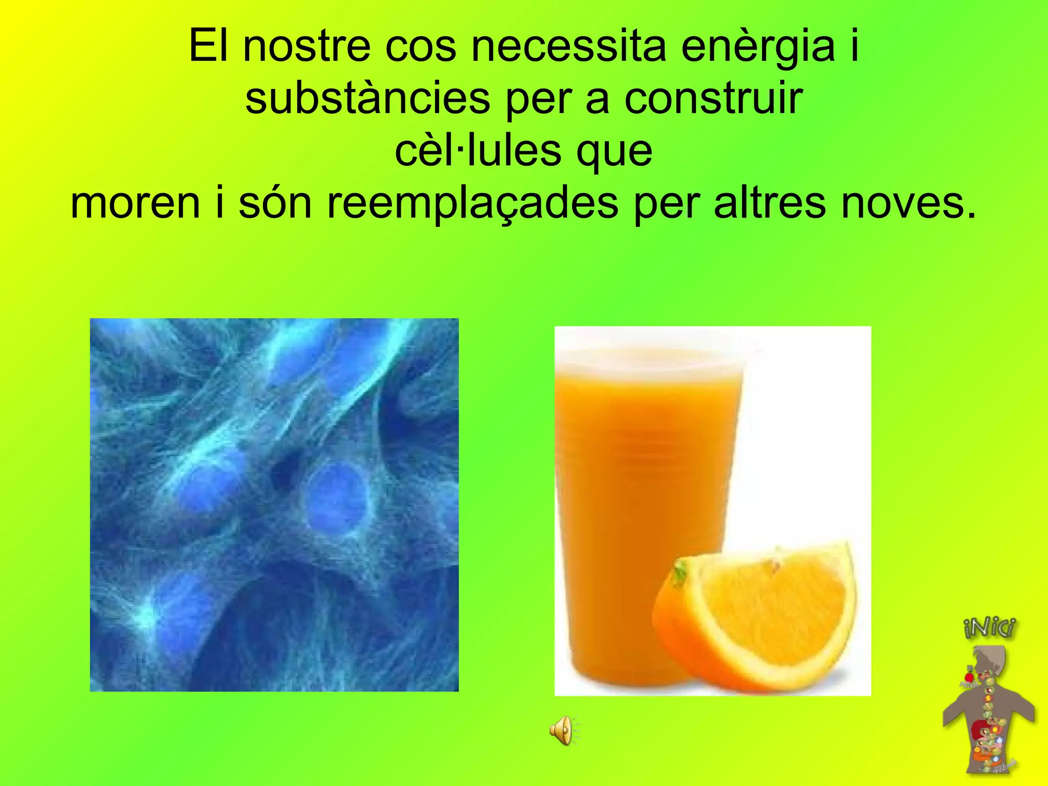 El nostre cos necessita enèrgia i substàncies per a construir cèl·lules que moren i són reemplaçades per altres noves. 