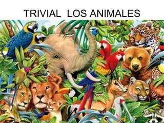 TRIVIAL LOS ANIMALES
 