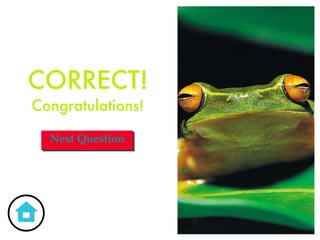 CORRECT! Congratulations! Next Question 