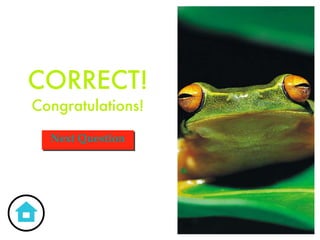 CORRECT! Congratulations! Next Question 