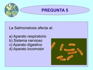 TRIVIAL
 1y2                 PREGUNTA 5



 La Salmonelosis afecta al:

 a) Aparato respiratorio
 b) Sistema nervioso
 c) Aparato digestivo
 d) Aparato locomotor
 