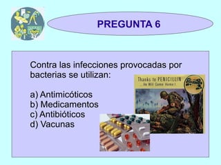 TRIVIAL
 1y2                PREGUNTA 6



    Contra las infecciones provocadas por
    bacterias se utilizan:

    a) Antimicóticos
    b) Medicamentos
    c) Antibióticos
    d) Vacunas
 