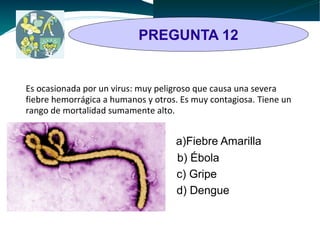 PREGUNTA 12 
Es ocasionada por un virus: muy peligroso que causa una severa 
fiebre hemorrágica a humanos y otros. Es muy contagiosa. Tiene un 
rango de mortalidad sumamente alto. 
a)Fiebre Amarilla 
a) b) Ébola 
c) Gripe 
d) Dengue 
 