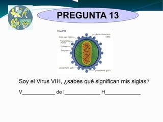 PREGUNTA 13 
Soy el Virus VIH, ¿sabes qué significan mis siglas? 
V____________ de I_____________ H_____________ 
 