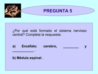 ¿Por qué está formado el sistema nervioso central? Completa la respuesta: a) Encéfalo: cerebro, ________ y ___________ . b) Médula espinal . PREGUNTA 5 