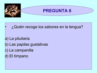 ¿Quién recoge los sabores en la lengua? a) La pituitaria b) Las papilas gustativas c) La campanilla d) El tímpano PREGUNTA 6 