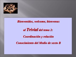 BBiieennvveenniiddooss,, wweellccoommee,, bbiieennvveennuuss 
aall TTrriivviiaall ddeell tteemmaa 22:: 
CCoooorrddiinnaacc...