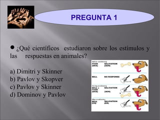 PREGUNTA 1 
¿Qué científicos estudiaron sobre los estímulos y 
las respuestas en animales? 
a) Dimitri y Skinner 
b) Pavl...