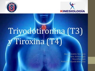 Triyodotironina (T3)
y Tiroxina (T4)
Bayron Andrés Toro Toro
Carrera: Kinesiología
Neurofisiología
Profesor :Eduardo Maturana
 