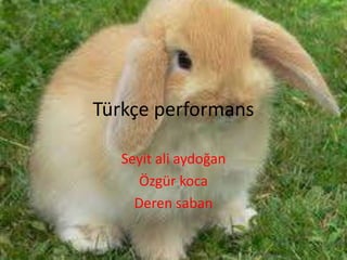Türkçe performans  Seyit ali aydoğan Özgür koca  Deren saban 