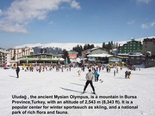 Uludağ , the ancient Mysian Olympus, is a mountain in Bursa
Province,Turkey, with an altitude of 2,543 m (8,343 ft). It is a
popular center for winter sportssuch as skiing, and a national
park of rich flora and fauna.
 