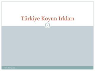 Türkiye Koyun Irkları
                           1




www.haytar.net
 