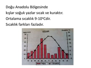 Doğu Anadolu Bölgesinde
kışlar soğuk yazlar sıcak ve kuraktır.
Ortalama sıcaklık 9-10oCdir.
Sıcaklık farkları fazladır.
 