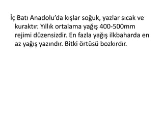 İç Batı Anadolu’da kışlar soğuk, yazlar sıcak ve
  kuraktır. Yıllık ortalama yağış 400-500mm
  rejimi düzensizdir. En fazla yağış ilkbaharda en
  az yağış yazındır. Bitki örtüsü bozkırdır.
 
