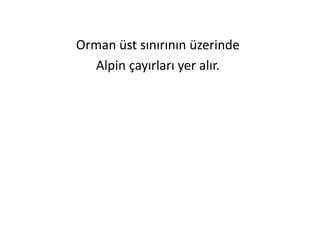 Orman üst sınırının üzerinde
  Alpin çayırları yer alır.
 