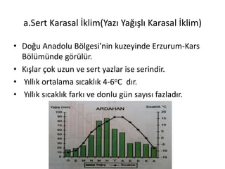 a.Sert Karasal İklim(Yazı Yağışlı Karasal İklim)

• Doğu Anadolu Bölgesi’nin kuzeyinde Erzurum-Kars
  Bölümünde görülür.
• Kışlar çok uzun ve sert yazlar ise serindir.
• Yıllık ortalama sıcaklık 4-6oC dır.
• Yıllık sıcaklık farkı ve donlu gün sayısı fazladır.
 
