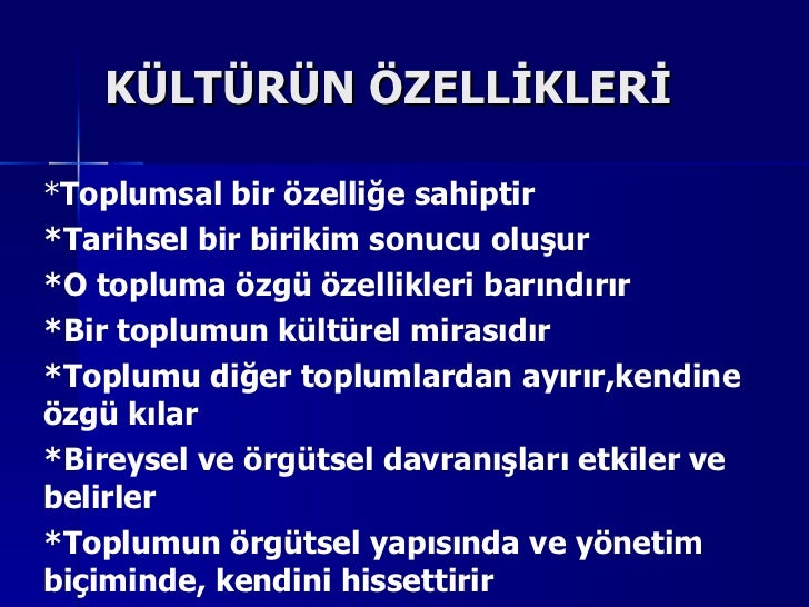 turk yonetim kulturu