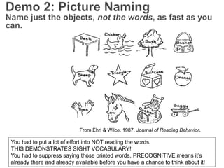 From Ehri & Wilce, 1987, Journal of Reading Behavior.
You had to put a lot of effort into NOT reading the words.
THIS DEMONSTRATES SIGHT VOCABULARY!
You had to suppress saying those printed words. PRECOGNITIVE means it’s
already there and already available before you have a chance to think about it!
 