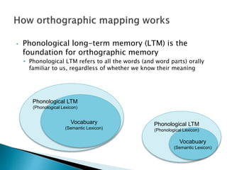 • Phonological long-term memory (LTM) is the
foundation for orthographic memory
• Phonological LTM refers to all the words (and word parts) orally
familiar to us, regardless of whether we know their meaning
Phonological LTM
(Phonological Lexicon)
Vocabuary
(Semantic Lexicon)
Vocabuary
(Semantic Lexicon)
Phonological LTM
(Phonological Lexicon)
 