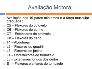 Avaliação Motora:
 Avaliação dos 10 pares miótomos e a força muscular
graduada :
 C5 – Flexores do cotovelo
 C6 – Flexores do punho
 C7 – Extensores do cotovelo
 C8 – Flexores do dedo
 T1 – Abdutores
 L2 – Flexores do quadril
 L3 – Flexores do joelho
 L4 – Dorsiflexores do tornozelo
 L5 - Extensores longos dos dedos
 S1 – Flexores plantares do tornozelo
 