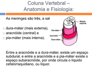 Coluna Vertebral –
Anatomia e Fisiologia:
As meninges são três, a saber:
 dura-máter (mais externa),
 aracnóide (central) e
 pia-máter (mais interna).
Entre a aracnóide e a dura-máter, existe um espaço
subdural, e entre a aracnóide e a pia-máter existe o
espaço subaracnóide, por onde circula o líquido
cefalorraquidiano, ou líquor.
 