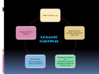 Edad < 5 años o > 55

Historia de HTA o
diabetes

DONANTE
MARGINAL

Ateromatosis,
arterias múltiples y
riñón en herradura

Muerte por ACV,
asistolia, infección por
VHB y VHC

Proteinuria y oliguria
preextracción, creatinina
plasmática elevada y/o
FG disminuido

 