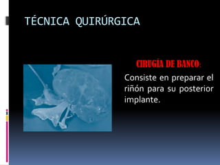 TÉCNICA QUIRÚRGICA
CIRUGÍA DE BANCO:
Consiste en preparar el
riñón para su posterior
implante.

 