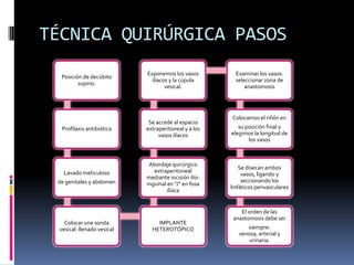 TÉCNICA QUIRÚRGICA PASOS
Posición de decúbito
supino.

Exponemos los vasos
ilíacos y la cúpula
vesical.

Profilaxis antibiótica

Se accede al espacio
extraperitoneal y a los
vasos ilíacos

Lavado meticuloso
de genitales y abdomen

Colocar una sonda
vesical: llenado vesical

Abordaje quirúrgico
extraperitoneal
mediante incisión ilioinguinal en “J” en fosa
ilíaca

IMPLANTE
HETEROTÓPICO

Examinar los vasos:
seleccionar zona de
anastomosis

Colocamos el riñón en
su posición final y
elegimos la longitud de
los vasos

Se disecan ambos
vasos, ligando y
seccionando los
linfáticos perivasculares

El orden de las
anastomosis debe ser
siempre:
venosa, arterial y
urinaria.

 