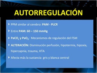 AUTORREGULACIÓN PPM similar al cerebro:  PAM - PLCR Entre  PAM: 60 – 150 mmHg PaCO 2  y PaO 2 :  Mecanismos de regulación del FSM ALTERACIÓN:  Disminución perfusión, hipotermia, hipoxia, hipercapnia, trauma, HTA Afecta más la sustancia  gris y blanca central 
