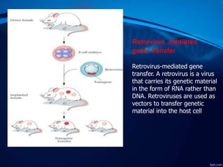 Retrovirus mediated
gene transfer
Retrovirus-mediated gene
transfer. A retrovirus is a virus
that carries its genetic material
in the form of RNA rather than
DNA. Retroviruses are used as
vectors to transfer genetic
material into the host cell
 