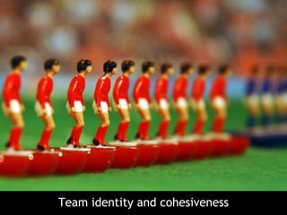 Team identity and cohesiveness
 