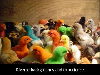 Diverse backgrounds and experience
 