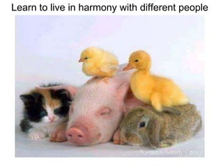 Learn to live in harmony with different people
 
