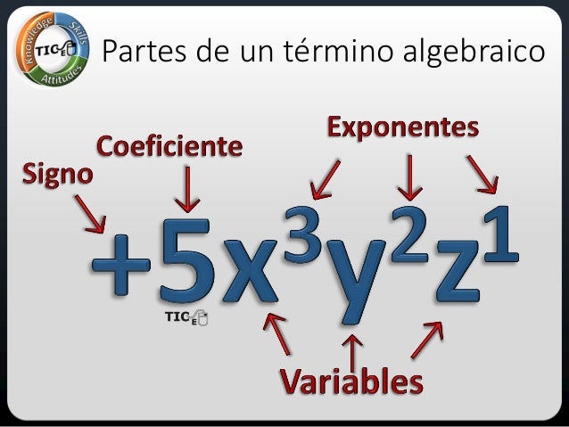Término algebraico