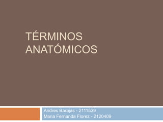 TÉRMINOS
ANATÓMICOS




  Andres Barajas - 2111539
  Maria Fernanda Florez - 2120409
 