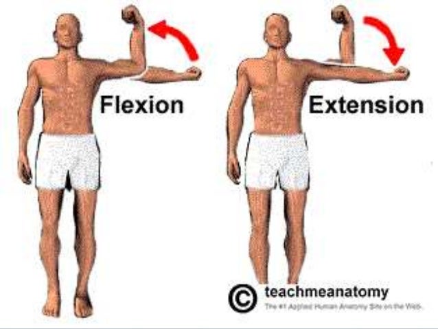 Movimientos del cuerpo humano