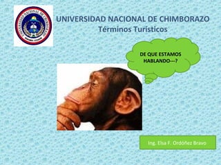 UNIVERSIDAD NACIONAL DE CHIMBORAZO
Términos Turísticos
DE QUE ESTAMOS
HABLANDO---?
Ing. Elsa F. Ordóñez Bravo
 
