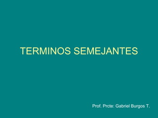 Prof. Prcte: Gabriel Burgos T. TERMINOS SEMEJANTES 