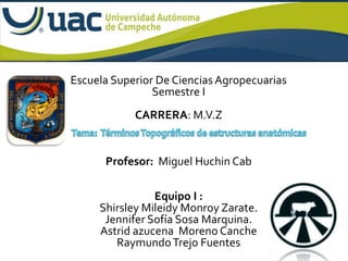 Escuela Superior De Ciencias Agropecuarias
                Semestre I
            CARRERA: M.V.Z


      Profesor: Miguel Huchin Cab

                Equipo I :
     Shirsley Mileidy Monroy Zarate.
      Jennifer Sofía Sosa Marquina.
     Astrid azucena Moreno Canche
        Raymundo Trejo Fuentes
 