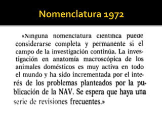 Términos  topográficos de estructuras anatómicos Veterinaria