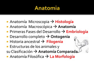 Anatomía Microscopia  Histología
 Anatomía Macroscópica  Anatomía
 Primeras Fases del Desarrollo  Embriología
 Desarrollo completo  Ontogenia
 Historia ancestral  Filogenia
 Estructuras de los animales y
su Clasificación  Anatomía Comparada
 Anatomía Filosófica  La Morfología
 