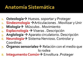1.   Osteología Huesos. soportar y Proteger
2.   Sindesmología Articulaciones . Movilizar y Unir
3.   Miología Músculos . Movimiento
4.   Esplacnología  Viseras . Descripción
5.   Anglologia  Aparato circulatorio. Descripción
6.   Neurología Sistema Nervioso. Controlar y
     Coordinar.
7.   Órganos sensoriales Relación con el medio que
                        lo rodea
8.   Integumento Común Envoltura .Proteger
 