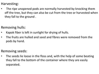 Harvesting:
• The ripe unopened pods are normally harvested by knocking them
off the tree, but they can also be cut from the tree or harvested when
they fall to the ground .
Removing hulls:
• Kapok fiber is left in sunlight for drying of hulls.
• The fruits are hulled and seed and fibres were removed from the
pods by hand.
Removing seeds:
• The seeds lie loose in the floss and, with the help of some beating
they fall to the bottom of the container where they are easily
separated.
 